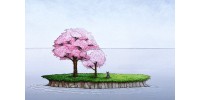 Reproduction de la toile "Cerisiers en fleur" de Marie-Sol St-Onge